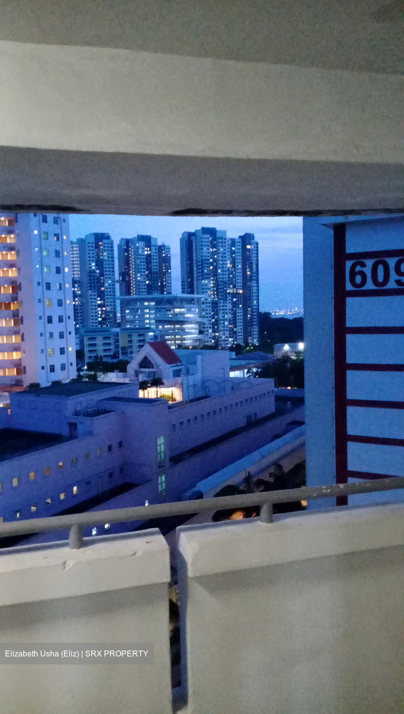 Blk 608 Clementi West Street 1 (Clementi), HDB 3 Rooms #569145981